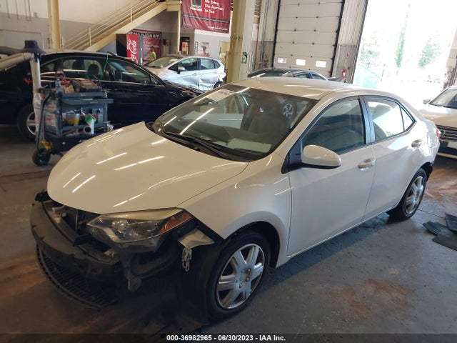 Toyota Corolla L/le/s/s Plus/le Plus 2016 2T1BURHEXGC499925 Image 2