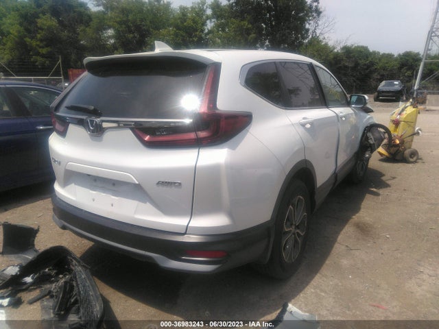 Honda CR-V EX 2020 2HKRW2H59LH619544 Image 4
