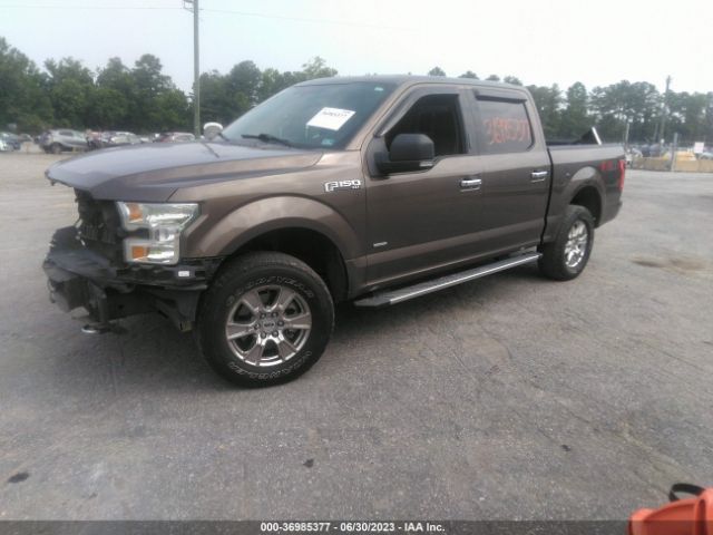 1FTEW1EG7GFB22586 Ford F-150 Xlt/xl/lariat/platinum