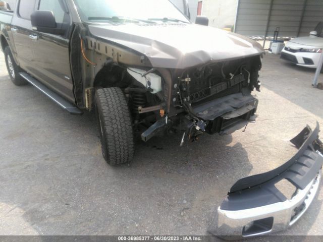 1FTEW1EG7GFB22586 Ford F-150 Xlt/xl/lariat/platinum