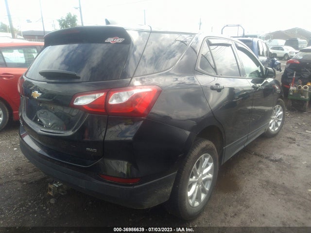 Chevrolet EQUINOX LS 2019 2GNAXSEV1K6187525 Image 4