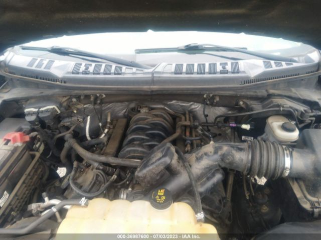 1FTEW1EF7FFB87234 Ford F-150 Xlt/xl/lariat/platinum