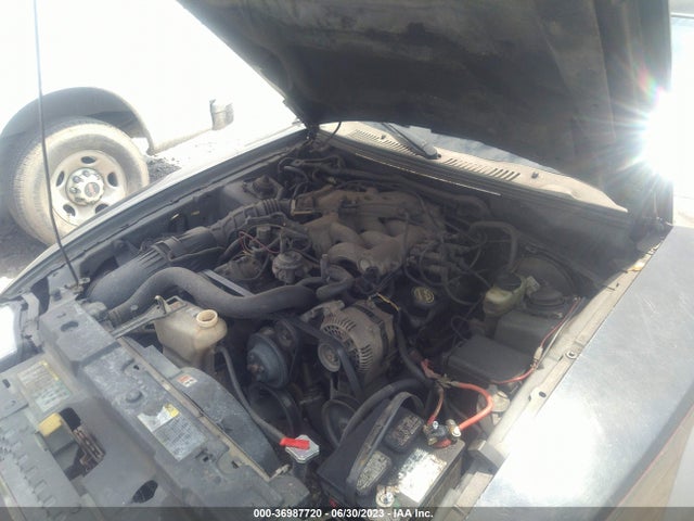 2003 FORD MUSTANG STANDARD/DELUXE/PREMIUM VIN: 1FAFP40443F317237
