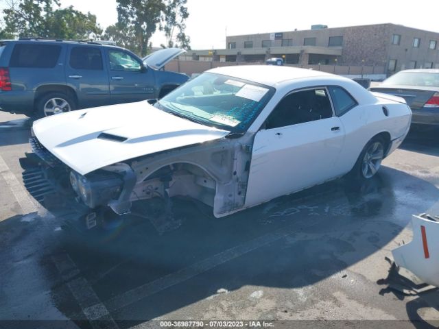 2C3CDZAG1KH563501 Dodge Challenger Sxt