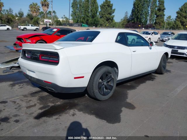 2C3CDZAG1KH563501 Dodge Challenger Sxt