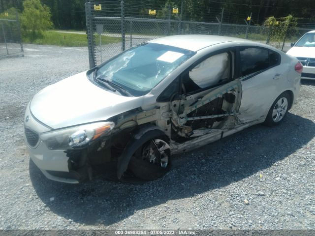 KNAFK4A66F5364091 KIA FORTE LX