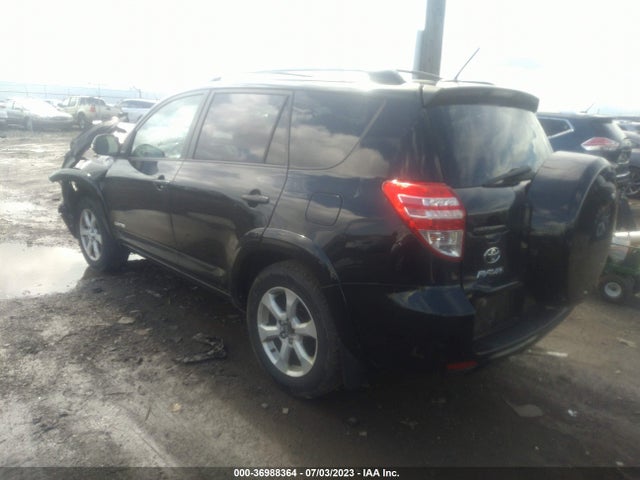 2011 TOYOTA RAV4 LTD VIN: 2T3DF4DV8BW144911