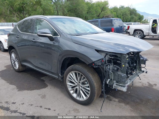 2023 Lexus NX, VIN: 2T2HKCEZ9PC013640