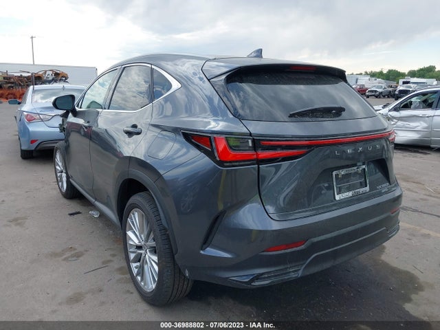 2023 Lexus NX, VIN: 2T2HKCEZ9PC013640