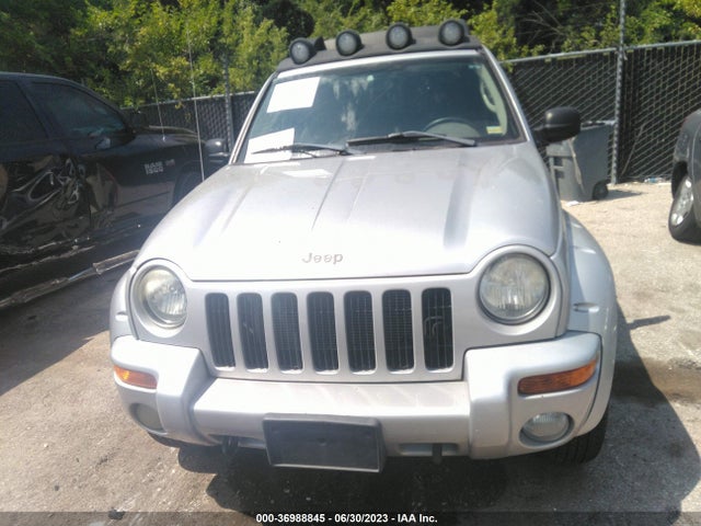 2003 JEEP LIBERTY RENEGADE VIN: 1J4GL38K23W632717