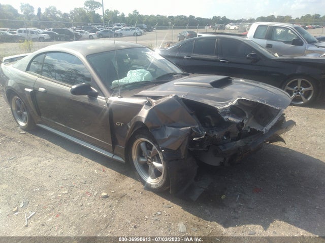 2003 FORD MUSTANG GT VIN: 1FAFP42X23F375306