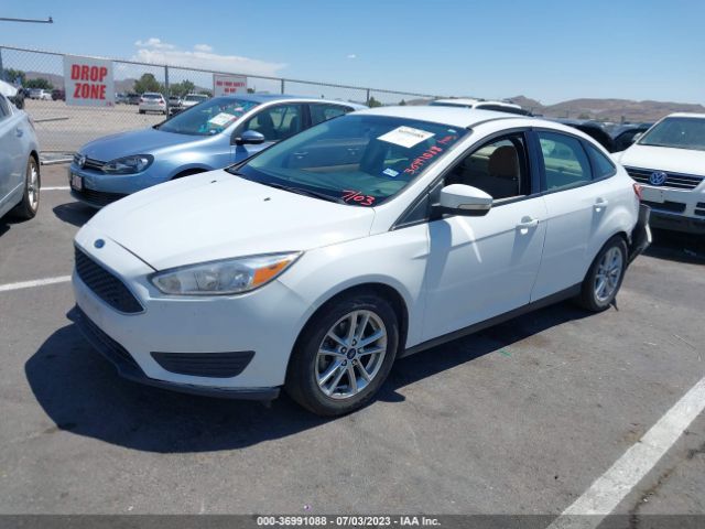1FADP3F28GL291532 Ford FOCUS SE