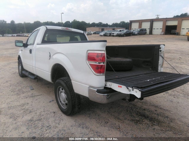 2013 FORD F-150 XL/STX/XLT VIN: 1FTMF1CM7DKD39756