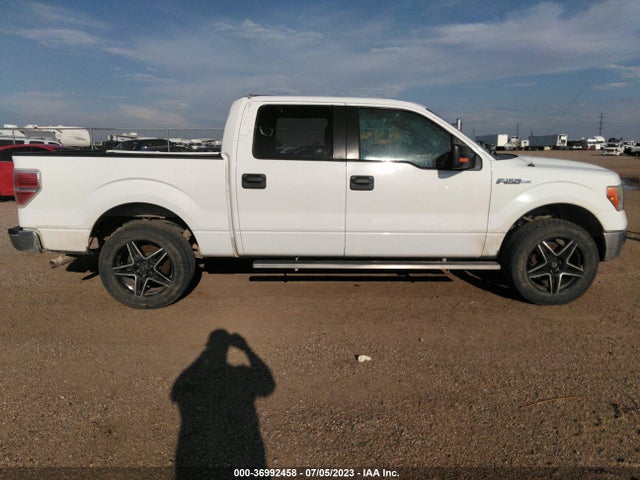 2012 FORD F-150 XL/XLT VIN: 1FTEW1CM7CFB28813