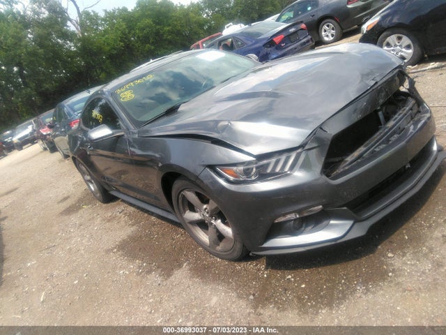 2016 1FA6P8AM9G5219855 main image
