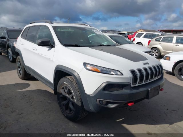 1C4PJMBSXHW585129 auction archive image