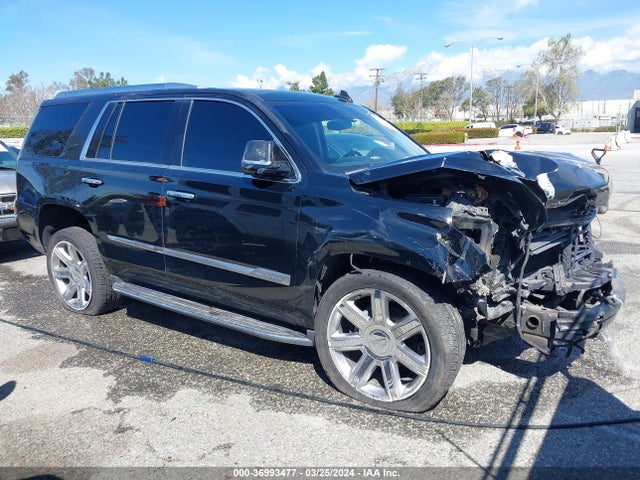 Cadillac Escalade Luxury 2019 1GYS3BKJ9KR110524 Image 12