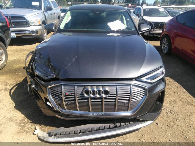 2021 Audi e-tron, VIN: WA13ABGE9MB002096