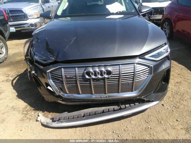 2021 Audi e-tron, VIN: WA13ABGE9MB002096