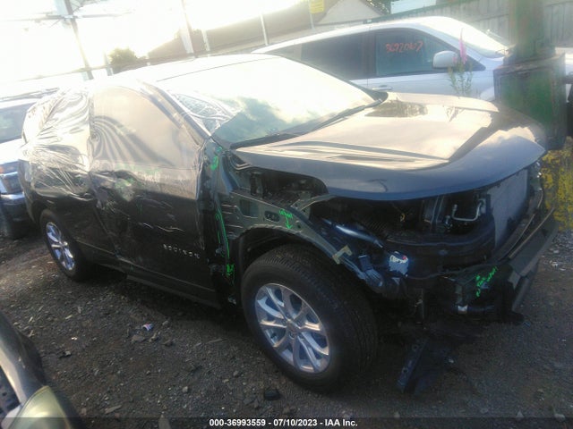 Chevrolet EQUINOX LS 2019 3GNAXSEVXKS656824 Image 1