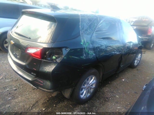 Chevrolet EQUINOX LS 2019 3GNAXSEVXKS656824 Image 4