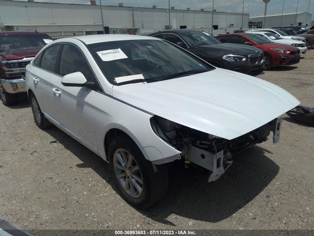 2019 5NPE24AF6KH813035 main image