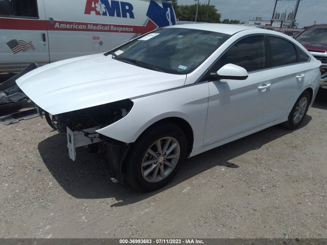 Hyundai SONATA SE 2019 5NPE24AF6KH813035 Image 2