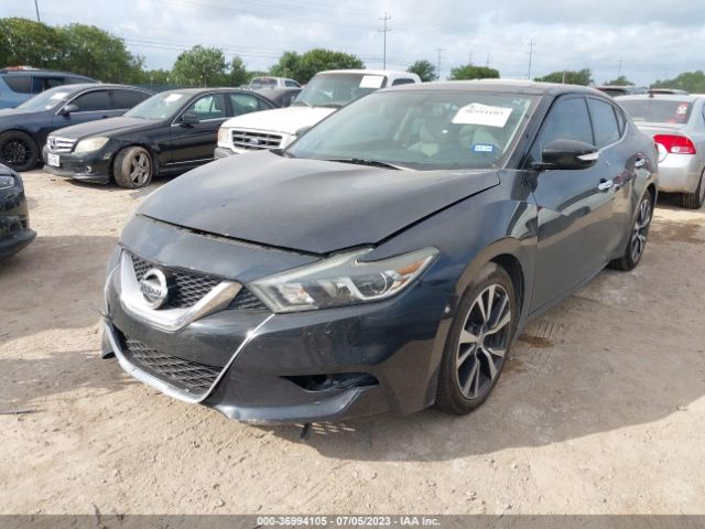 1N4AA6AP5HC393302 Nissan MAXIMA SL