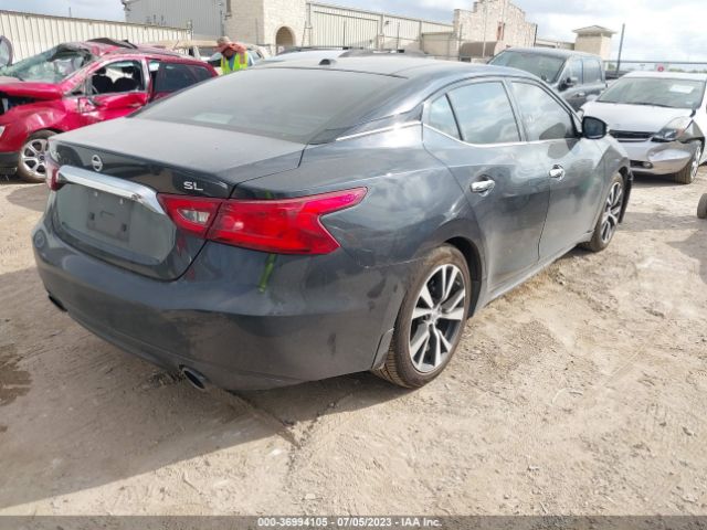 1N4AA6AP5HC393302 Nissan MAXIMA SL