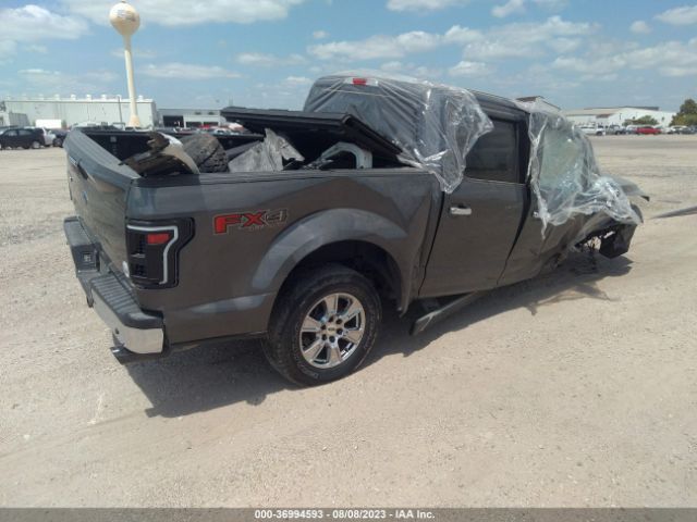 1FTEW1EF7GKD73204 Ford F-150 Xlt/xl/lariat/platinum