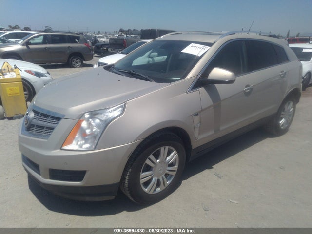 2011 CADILLAC SRX LUXURY COLLECTION VIN: 3GYFNAEYXBS541420