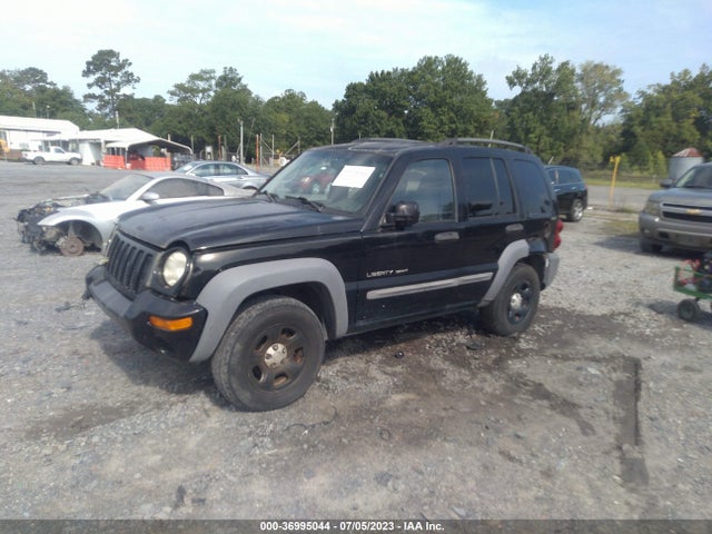 2002 JEEP LIBERTY SPORT VIN: 1J4GL48K02W101536