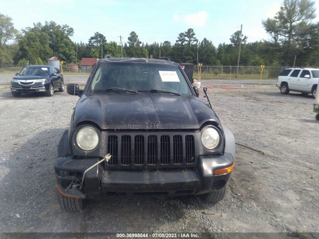2002 JEEP LIBERTY SPORT VIN: 1J4GL48K02W101536