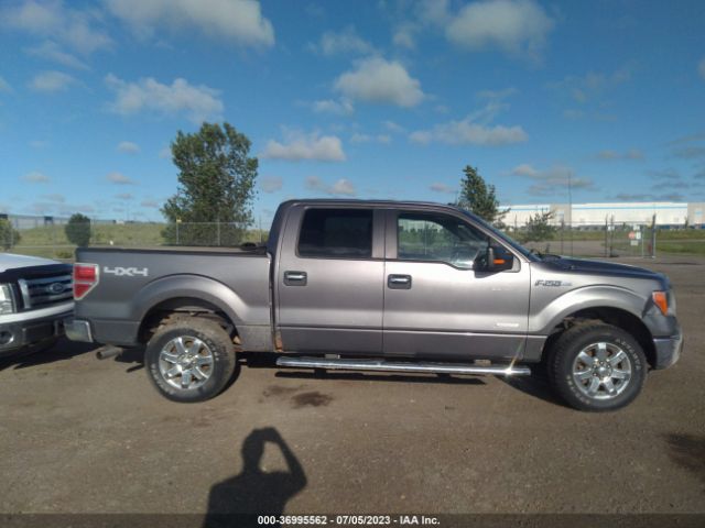 1FTFW1ET5EKF88619 Ford F-150 Xl/xlt/fx4/lariat