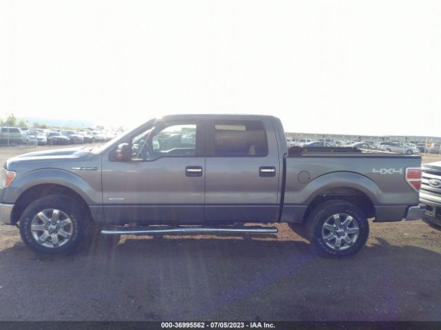 1FTFW1ET5EKF88619 Ford F-150 Xl/xlt/fx4/lariat