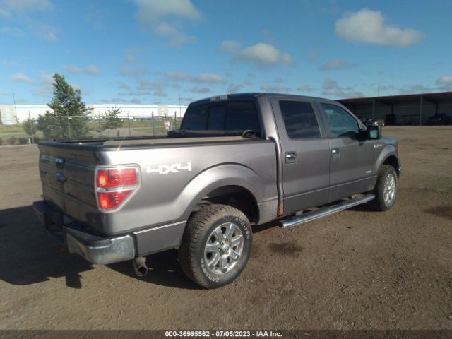 1FTFW1ET5EKF88619 Ford F-150 Xl/xlt/fx4/lariat