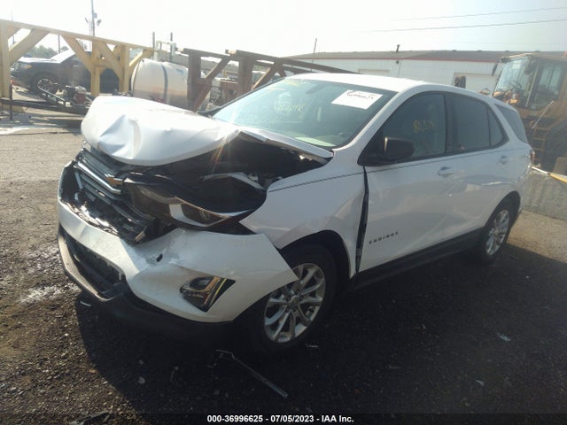 Chevrolet EQUINOX LS 2019 3GNAXHEV3KL284353 Image 2