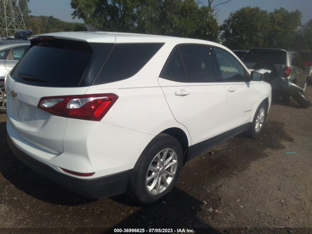 Chevrolet EQUINOX LS 2019 3GNAXHEV3KL284353 Image 4