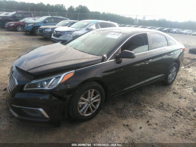 5NPE24AF8HH477865 Hyundai SONATA SE