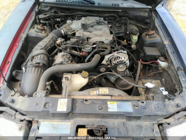 2001 FORD MUSTANG DELUXE/PREMIUM VIN: 1FAFP44421F183013