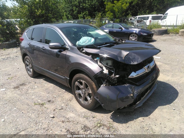 2019 5J6RW2H84KL031002 main image