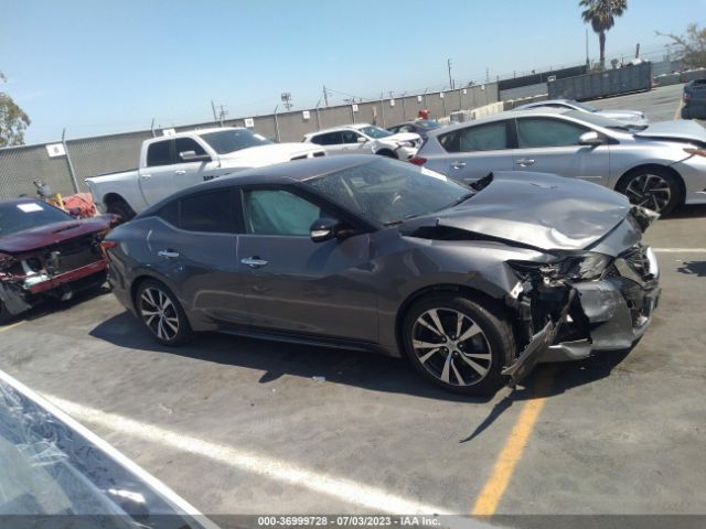 1N4AA6APXHC364197 Nissan Maxima Sv/s/sl/sr/platinum