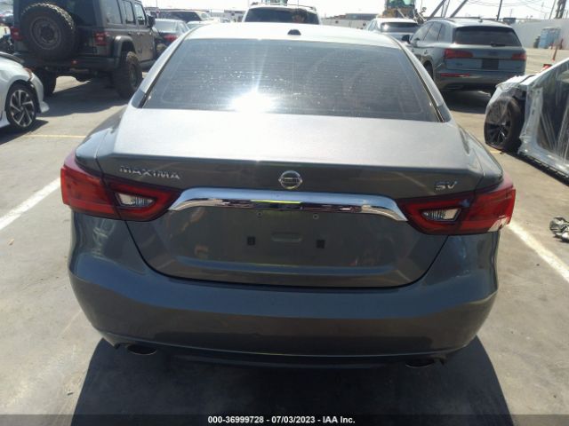 1N4AA6APXHC364197 Nissan Maxima Sv/s/sl/sr/platinum