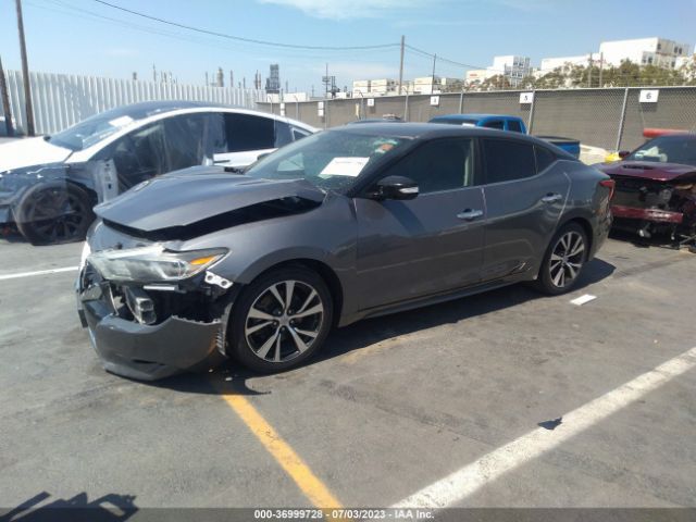 1N4AA6APXHC364197 Nissan Maxima Sv/s/sl/sr/platinum