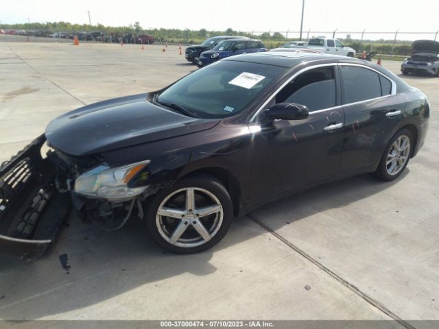 1N4AA5AP1EC448284 Nissan Maxima 3.5 S