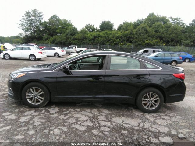 5NPE24AF7HH529566 Hyundai Sonata