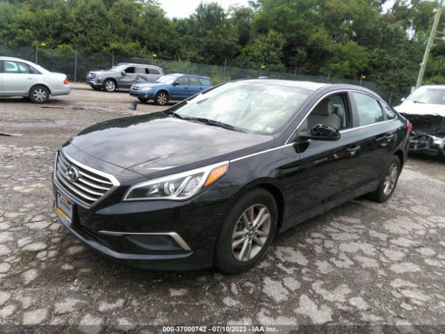 5NPE24AF7HH529566 Hyundai Sonata