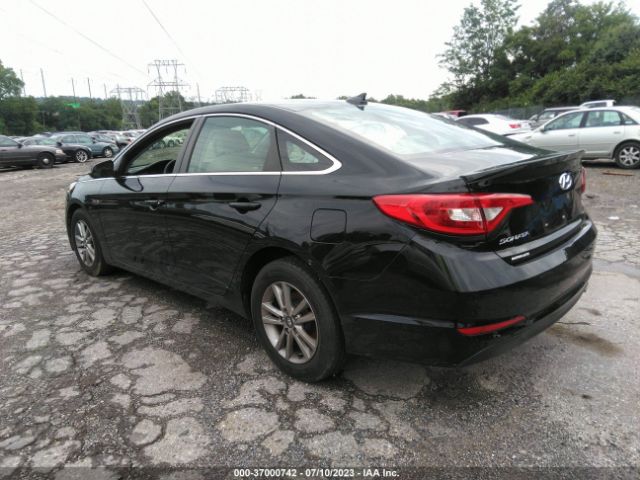5NPE24AF7HH529566 Hyundai Sonata