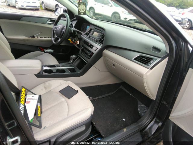 5NPE24AF7HH529566 Hyundai Sonata