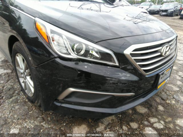 5NPE24AF7HH529566 Hyundai Sonata